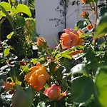 Soleil - Charming 2br House With Garden At - Konnos Area *