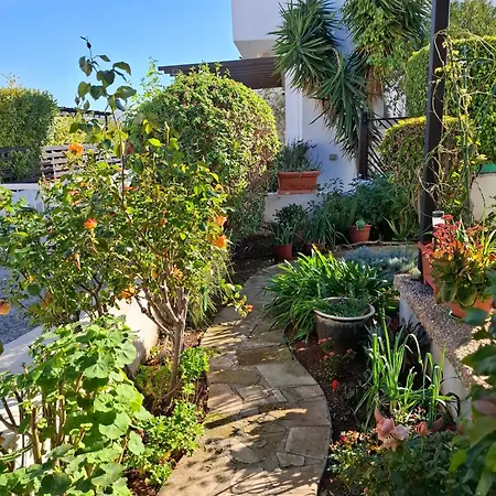 Holiday home Soleil - Charming 2br House With Garden At - Konnos Area *