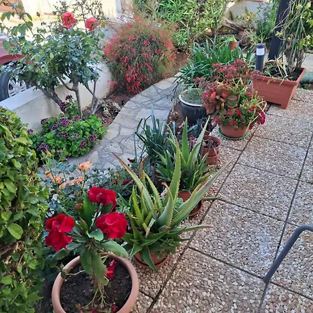 Soleil - Charming 2br House With Garden At - Konnos Area