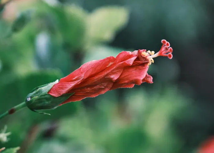 Soleil - Charming 2br House With Garden At - Konnos Area Protaras