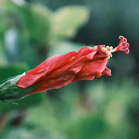 Soleil Residence, 普罗塔拉斯